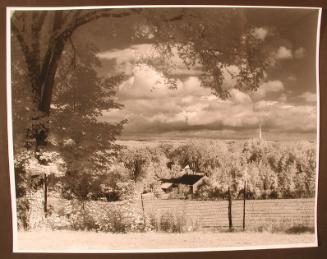 Looking West from Our Lady of Calvary Property