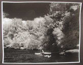 Boys and Ducks, Woodridge Lake, West Hartford