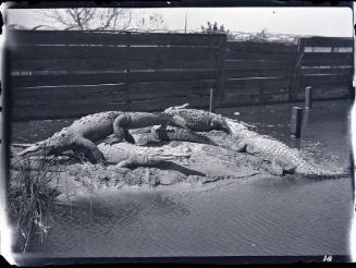 Gift of the Rosalie Thorne McKenna Foundation, 2011.344.170  © 2012 The Connecticut Historical  ...