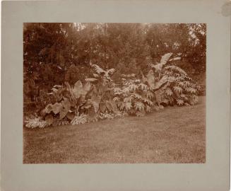 Gift of the Rosalie Thorne McKenna Foundation, 2011.344.994  © 2012 The Connecticut Historical  ...