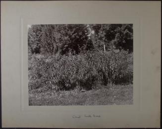 Gift of the Rosalie Thorne McKenna Foundation, 2011.344.974  © 2013 The Connecticut Historical  ...