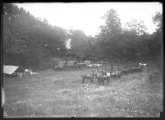 Museum purchase, 1995.36.148  © 2013 The Connecticut Historical Society.