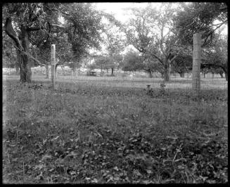 Museum purchase, 1995.36.86  © 2013 The Connecticut Historical Society.