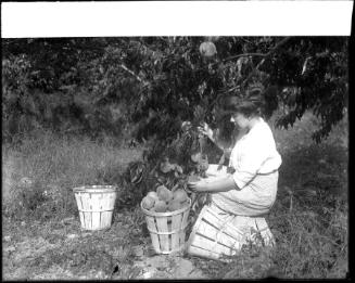 Museum purchase, 1995.36.459  © 2013 The Connecticut Historical Society.