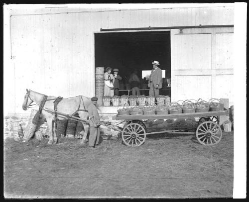 Museum purchase, 1995.36.462  © 2013 The Connecticut Historical Society.