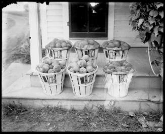 Museum purchase, 1995.36.466  © 2013 The Connecticut Historical Society.