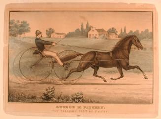 George M. Patchen, "The Champion Trotting Stallion"
