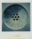 Circles, Gift of the Richard Welling Family, 2012.284.294  © 2014 The Connecticut Historical So ...