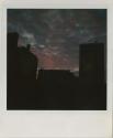 Pink and gray clouds (sunrise/sunset) over silhouette of roofs, Gift of the Richard Welling Fam ...