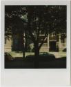 "Perfect Six" apartment building, with leafy tree in foreground, probably Hartford.  Gift of th ...