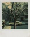 "Perfect Six" apartment building, with tree in foreground, probably Hartford.  Gift of the Rich ...