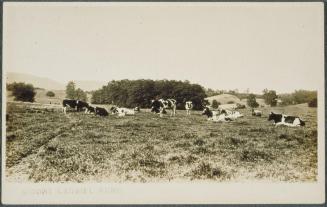 Connecticut Historical Society collection, 2000.179.200  © 2014 The Connecticut Historical Soci ...