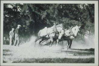 1983.141.169  © 2001 The Connecticut Historical Society.