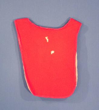 Child's Chest Protector