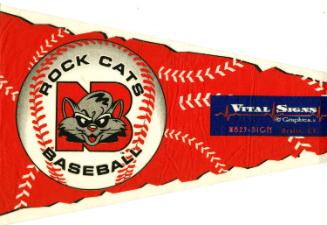 Rock Cats pennant