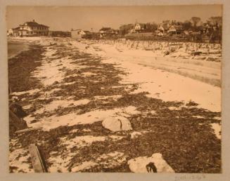 Photograph Album of 1938 Hurricane