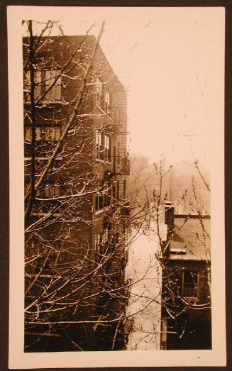 Flood Waters Between Buildings with Tree, Hartford