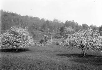 Gift of Margaret G. Giles 2015.87.389 © 2016 The Connecticut Historical Society.