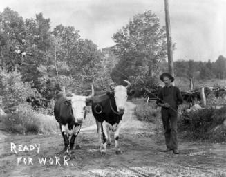 Gift of Margaret G. Giles 2015.87.680 © 2016 The Connecticut Historical Society.