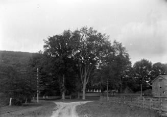 Gift of Margaret G. Giles 2015.87.772 © 2016 The Connecticut Historical Society.