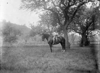 Gift of Margaret G. Giles 2015.87.3893 © 2016 The Connecticut Historical Society.