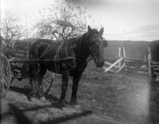 Gift of Margaret G. Giles 2015.87.4323 © 2016 The Connecticut Historical Society.