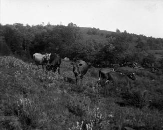 Gift of Margaret G. Giles 2015.87.4332 © 2016 The Connecticut Historical Society.