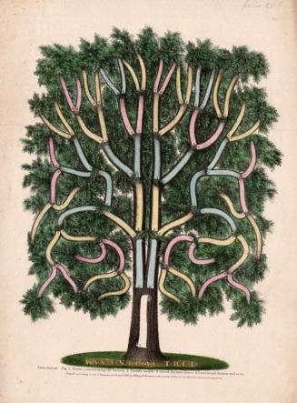 Ancestral Tree.