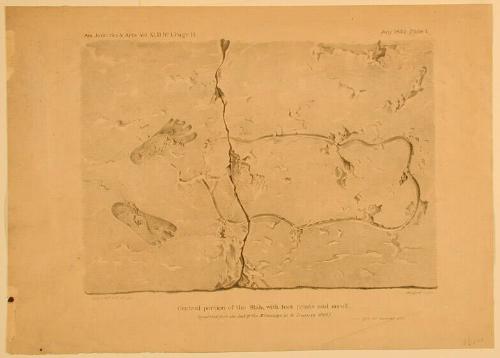 Central Portion of the Slab, with Foot Prints and Scroll.