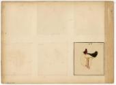 Gift of the Smith-Worthington Saddlery Co., 2021.22.63.5, Connecticut Historical Society, No Kn ...