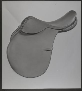 Gift of the Smith-Worthington Saddlery Co., 2021.22.72, Connecticut Historical Society, Copyrig ...