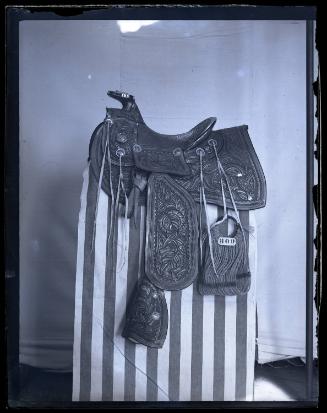 Gift of the Smith-Worthington Saddlery Co., 2021.22.211, Connecticut Historical Society, No Kno ...