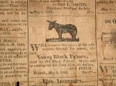 Advertisement for donkeys, dated "Bozrah, May 9, 1820".