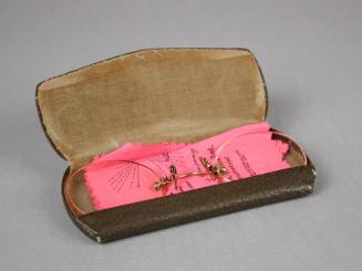 Case open, with pince nez and lens wiping cloth inside.