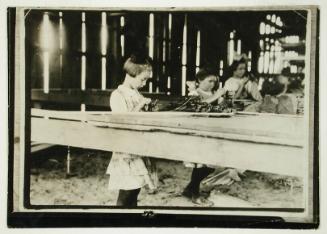 Interior of Tobacco Shed, Hawthorn Farm