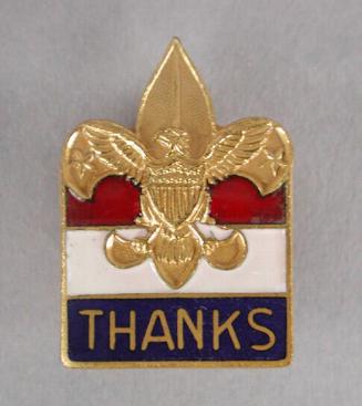 Lapel Pin