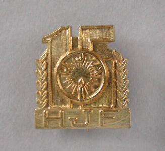 Lapel Pin