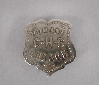 Lapel Pin