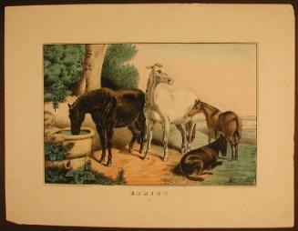 Horace Thayer & Co.