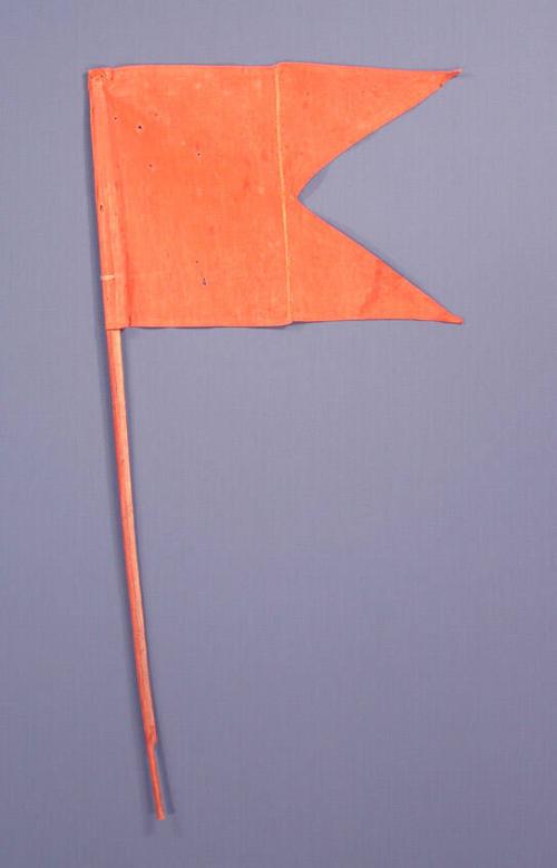 Antarctic Expedition Flag