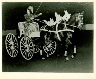 Museum purchase, 1999.16.260  © 2011 The Connecticut Historical Society.