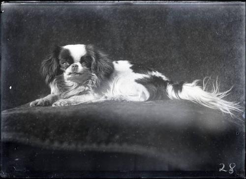 Gift of the Rosalie Thorne McKenna Foundation, 2011.344.25  © 2012 The Connecticut Historical S…