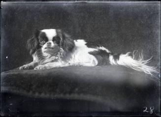 Gift of the Rosalie Thorne McKenna Foundation, 2011.344.25  © 2012 The Connecticut Historical S…
