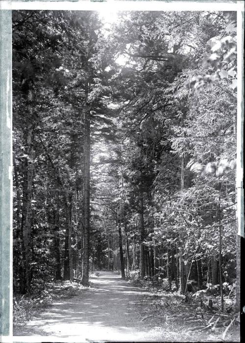 Gift of the Rosalie Thorne McKenna Foundation, 2011.344.42  © 2012 The Connecticut Historical S…