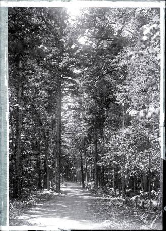 Gift of the Rosalie Thorne McKenna Foundation, 2011.344.42  © 2012 The Connecticut Historical S…