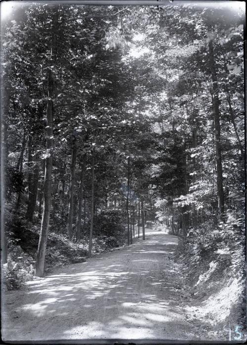 Gift of the Rosalie Thorne McKenna Foundation, 2011.344.43  © 2012 The Connecticut Historical S…
