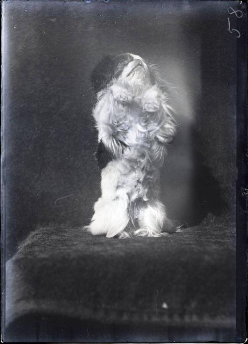 Gift of the Rosalie Thorne McKenna Foundation, 2011.344.56  © 2012 The Connecticut Historical S…