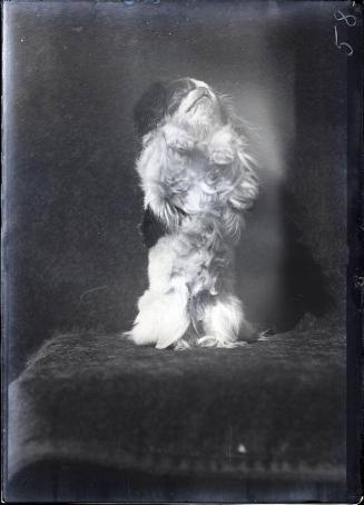 Gift of the Rosalie Thorne McKenna Foundation, 2011.344.56  © 2012 The Connecticut Historical S…