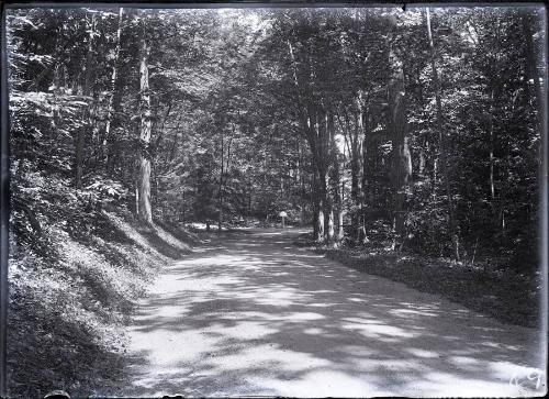 Gift of the Rosalie Thorne McKenna Foundation, 2011.344.68  © 2012 The Connecticut Historical S…