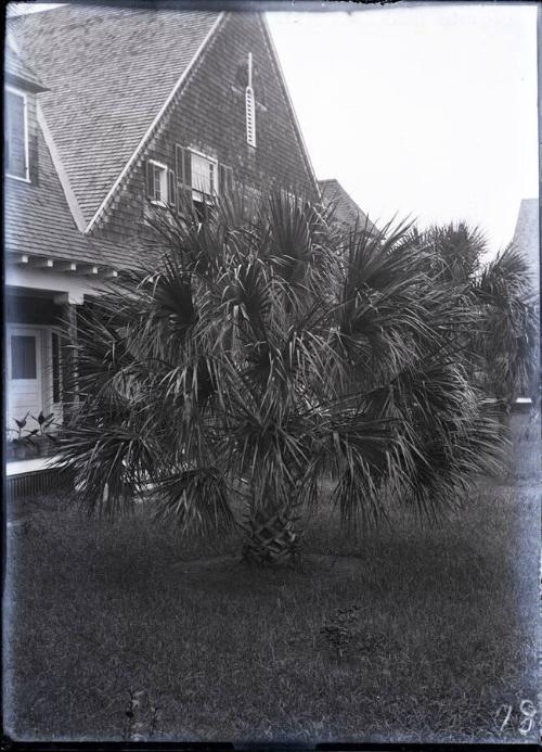 Gift of the Rosalie Thorne McKenna Foundation, 2011.344.77 © 2012 The Connecticut Historical So…